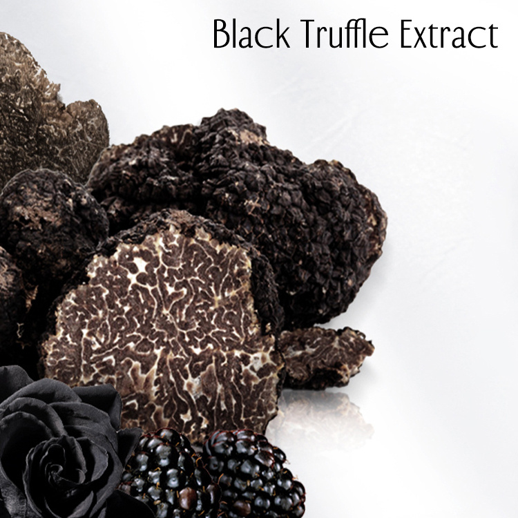 black truffle extract.jpg